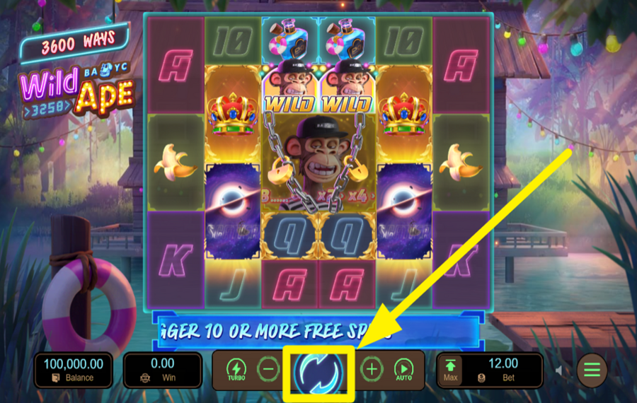 Spin the Reels